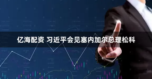 亿海配资 习近平会见塞内加尔总理松科