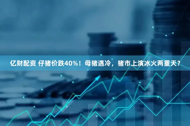 亿财配资 仔猪价跌40%！母猪遇冷，猪市上演冰火两重天？