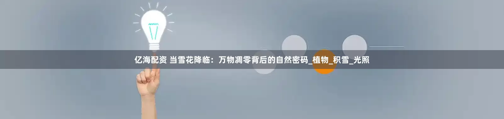 亿海配资 当雪花降临：万物凋零背后的自然密码_植物_积雪_光照